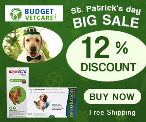 12% Off on Everything Luck is still with you! Get Earn Reward Points & Free Shipping.  Use Coupon Code: PATRICKS12