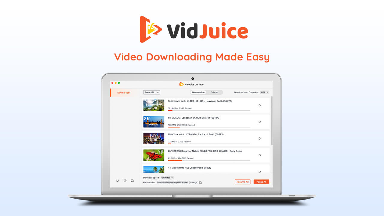 Video Downloading Made Easy