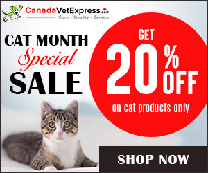 20% off on all Cat Supplies! We're Bringing Happy Cat Month to You! Shop Our HUGE Deals Now + Reward Points!