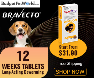 Why Wait? Grab Great offers for Pets: Bravecto Chewable only $31.90+ Free Shipping. Use Coupon Code:BPWPETS12