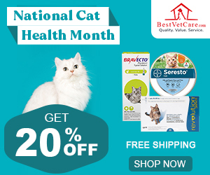 Healthy Cat Month BIG Sale