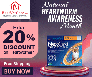 Don’t Miss These Heartworm Items Deal