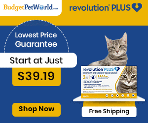Here's 15% off your Revolution Plus order today + Free Shipping