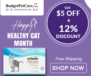 Healthy & Happy Cat Month Sale
