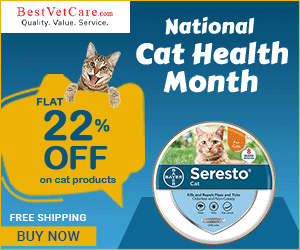 Flat 22% OFF All Cat Products