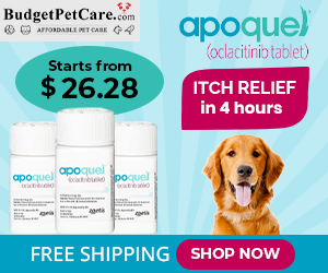 Apoquel - Fast-acting and effective itch-relief tablets at Lowest Price + 15% Off & Free Shipping Today! Use Coupon: SAVE15