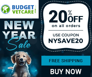 Jumpstart Your Year with Incredible Offers! Extra 20% Off + Free Shipping