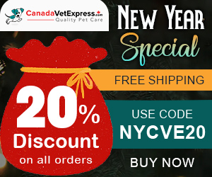 Ring in the New Year with Unbeatable Offers! Extra 20% Off + Free Shipping