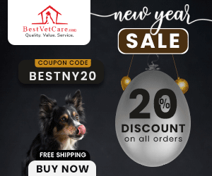 New Year 20% OFF Sale