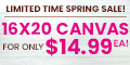 16x20 Canvas Prints for $14.99
