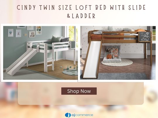 Cindy Twin Size Loft Bed with Slide and Ladder,