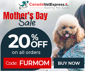 20% Off Coupon + Free Shipping