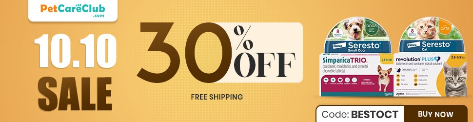 10-10 Sale 2026