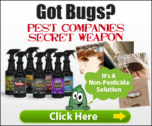 Green Bean Pest Control