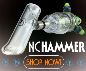NC Hammer - Nectarcollector