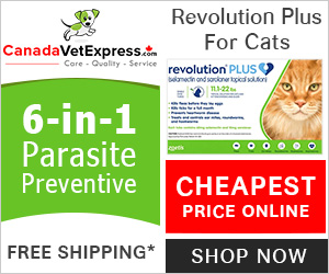 Get Revolution Plus for Your Cats Today at Cheapest Price Online with Free Shipping! Use Discount Code: CVEFNT12 and Save 12% Extra